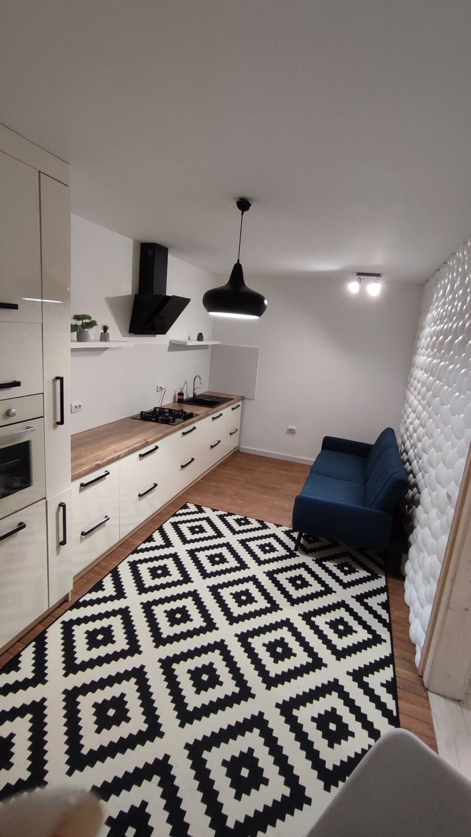 1-к. квартира з і/о, лоджією та ремонтом за вул. Чорновола - Оренда ...